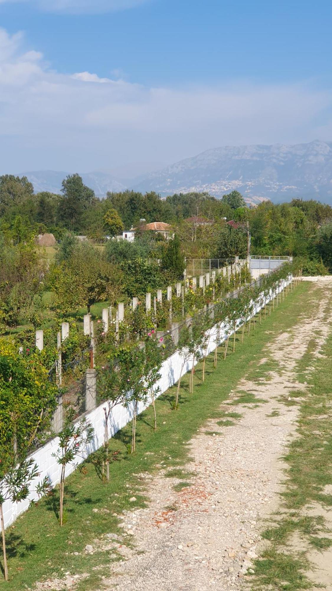 Nerium Garden Inn Tirana Airport Rinas Exterior photo