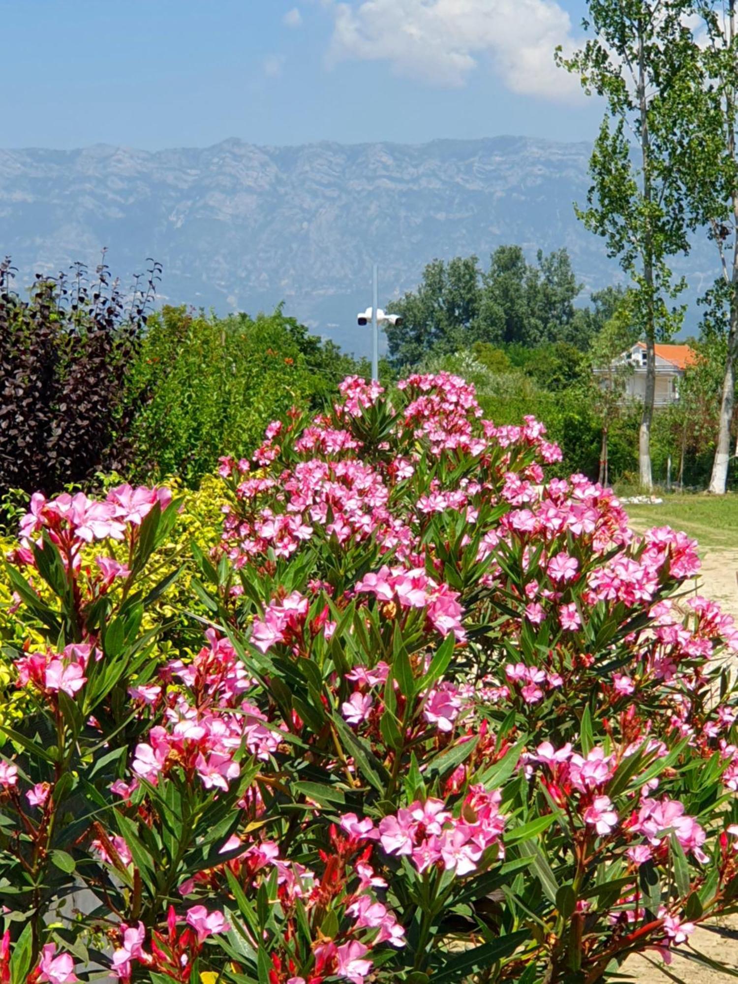 Nerium Garden Inn Tirana Airport Rinas Exterior photo